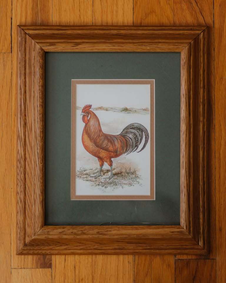 Farmhouse Rooster
