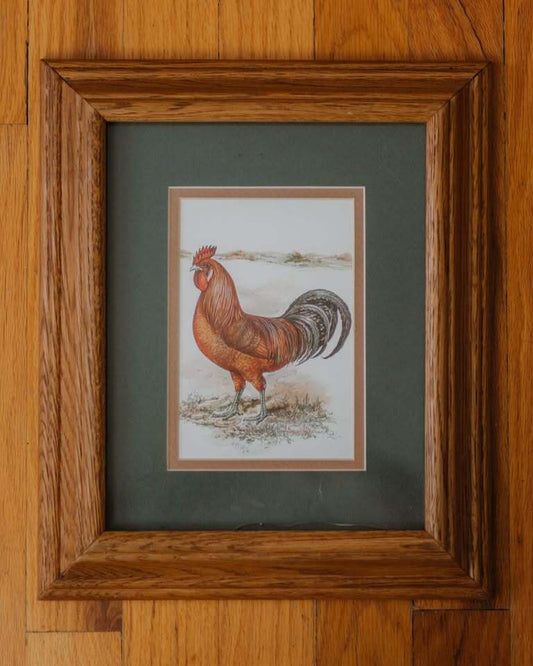 Farmhouse Rooster
