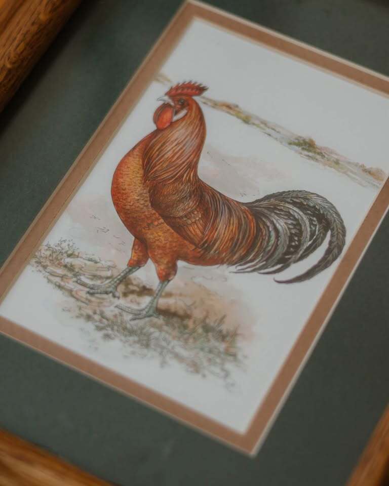 Farmhouse Rooster