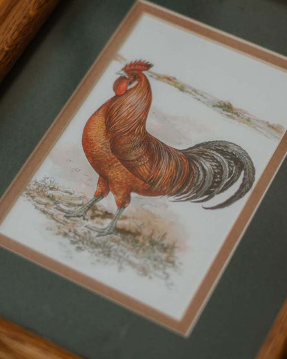 Farmhouse Rooster