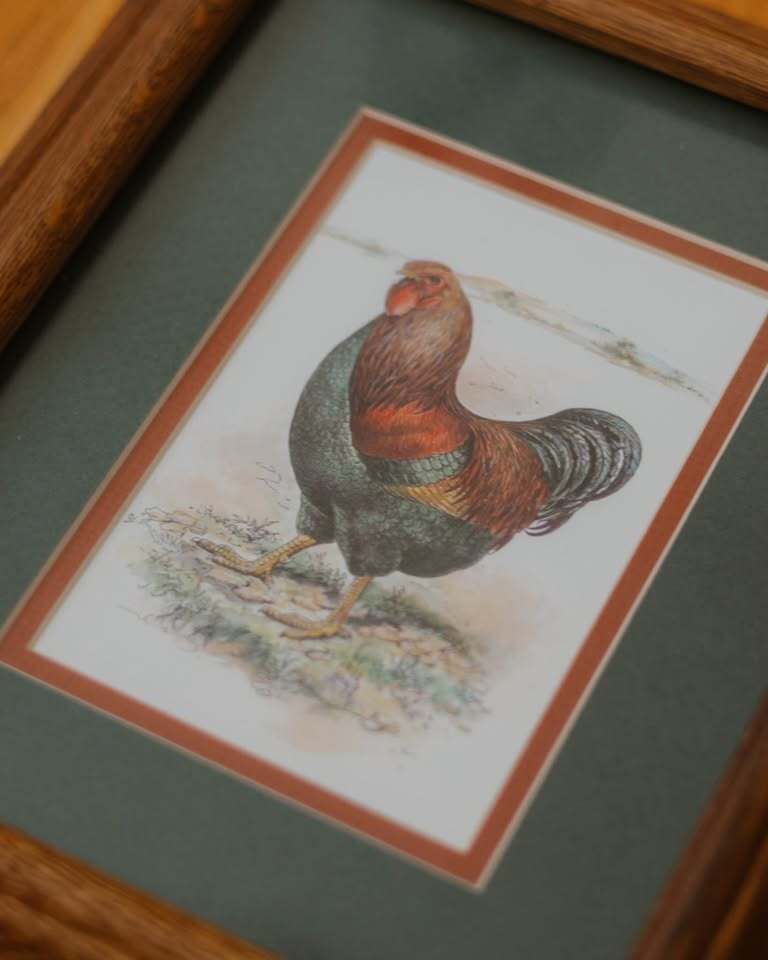 Farmhouse Rooster